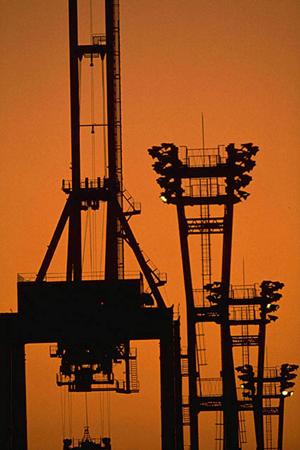 人気の高まる漆喰の販売をおこなう会社